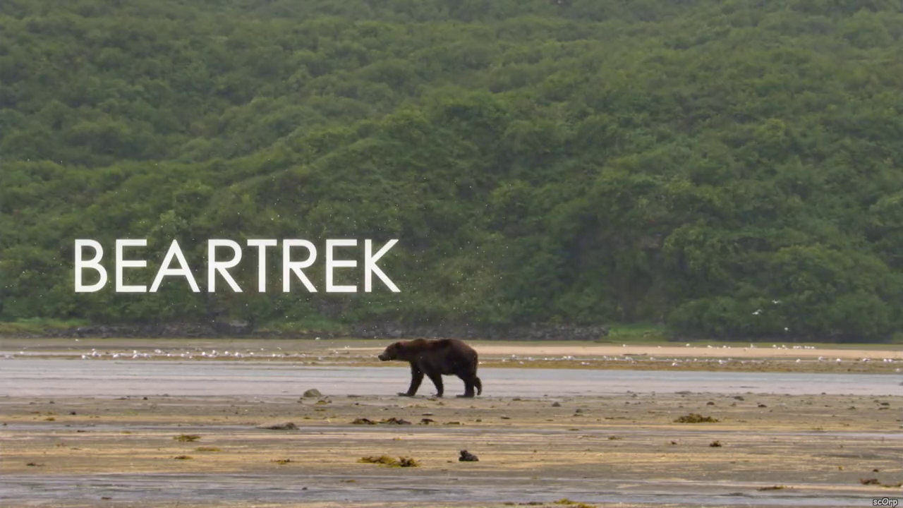 300mbunited.me--00001