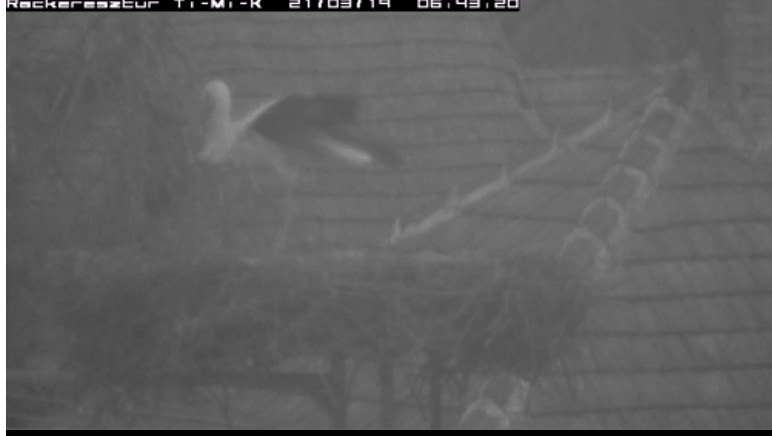 2021-03-19_062618pacik felől érkezett