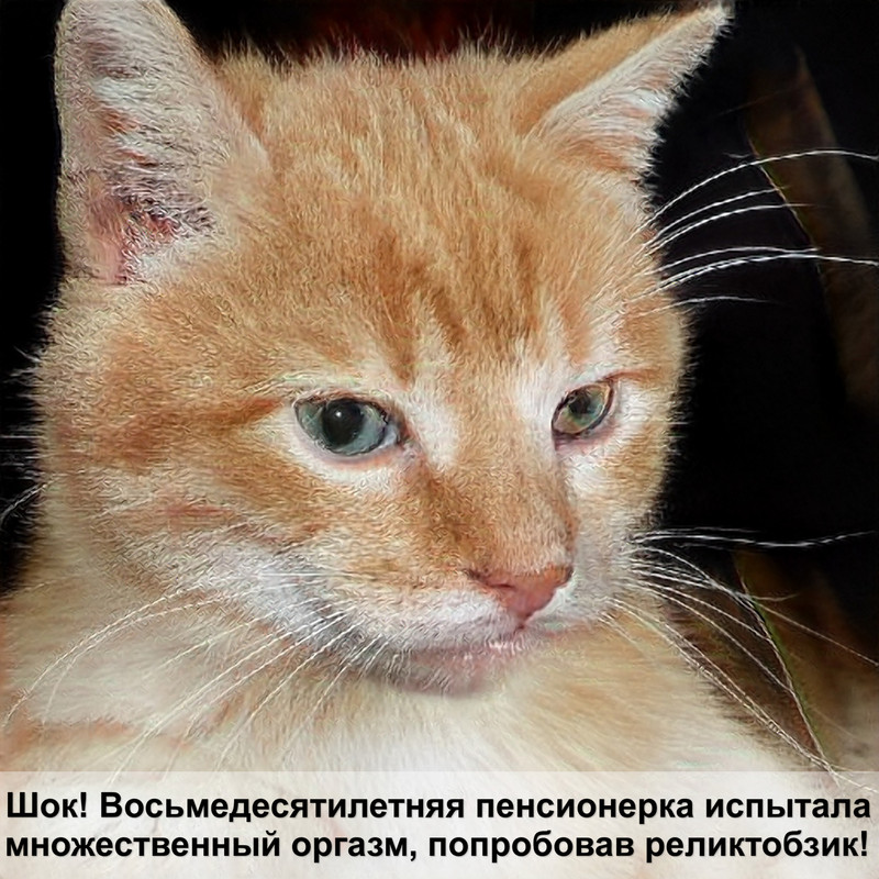 сумка кошка