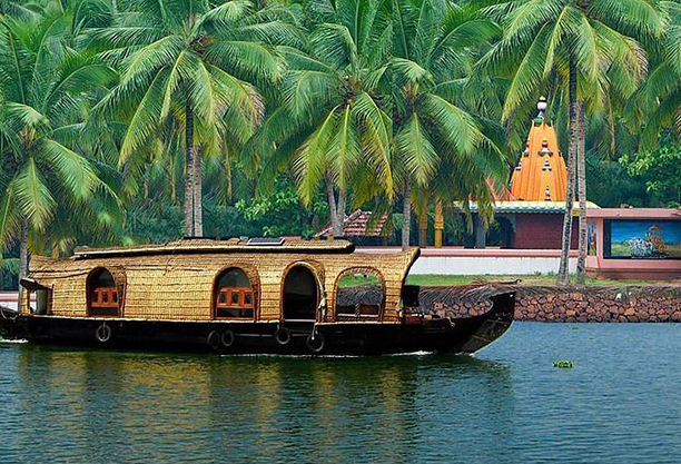 Things To Do Kochi