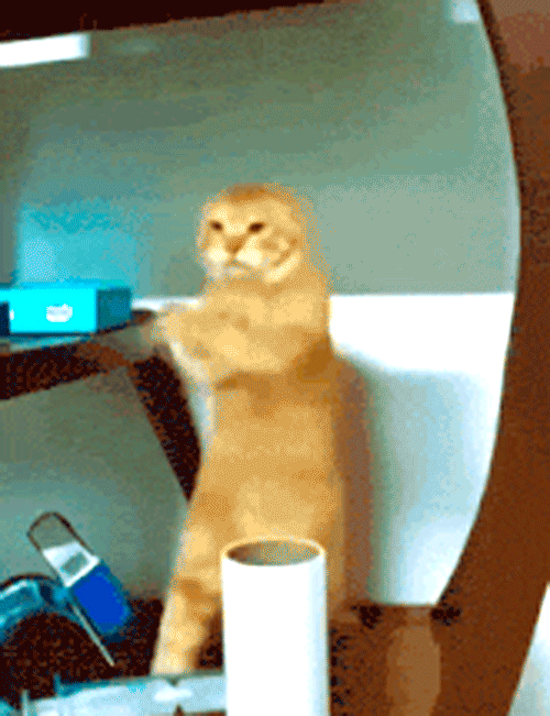 124.gif