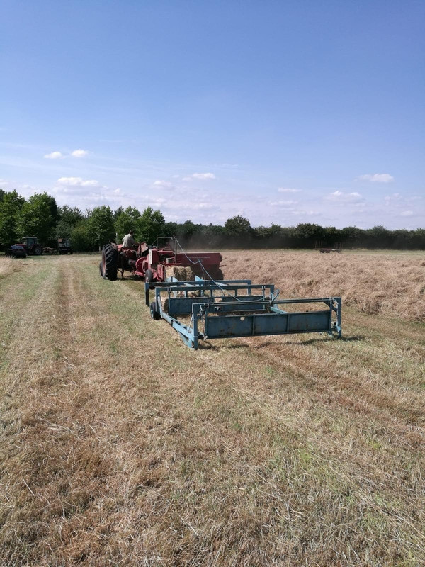 41595854_464918440672367_2148280059490729984_n