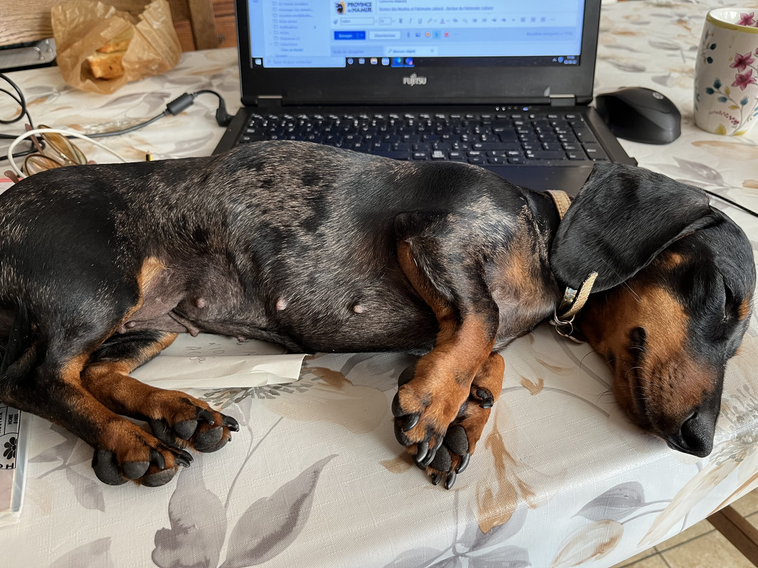 [Image: 1-A6-BB8-DE-212-D-4-E58-B8-B0-3-BD30-C5-EF0-C3.jpg]