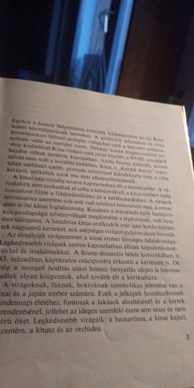Kép