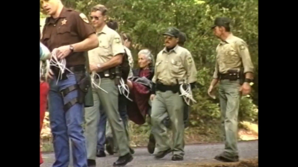 [Image: r79xe0cbod3j.png]