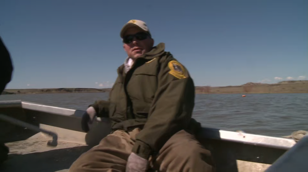 [Image: gwen3i274ktr.png]