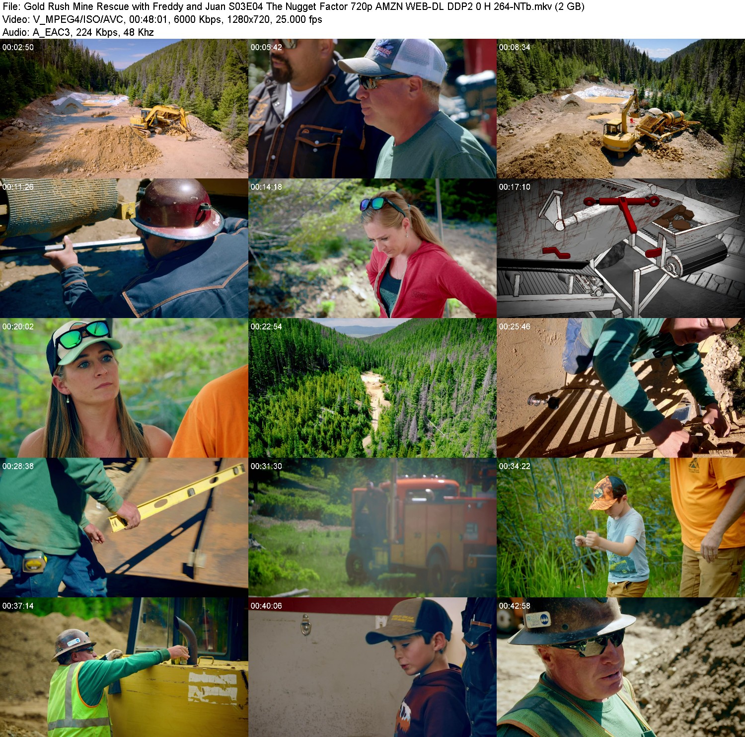 [Image: ehhobal2844m.jpg]