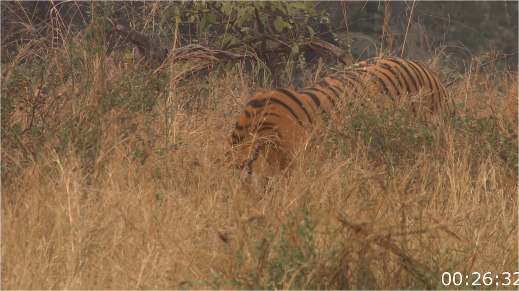 [Image: gdy214xfig0m.png]