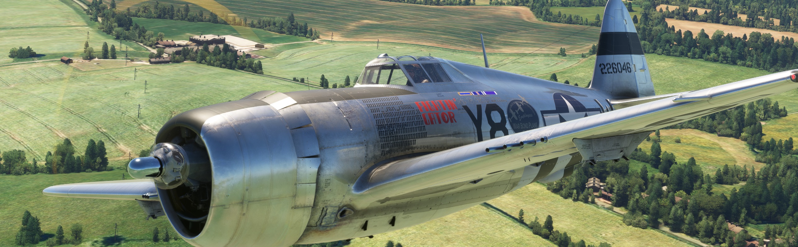 Gator-CA.jpg
