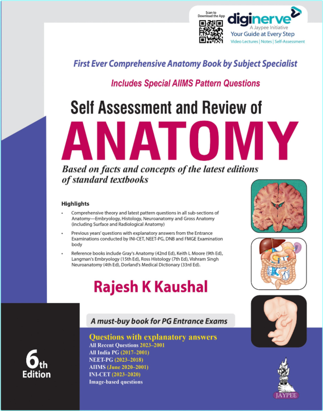 [Image: nujabsj8x168.png]