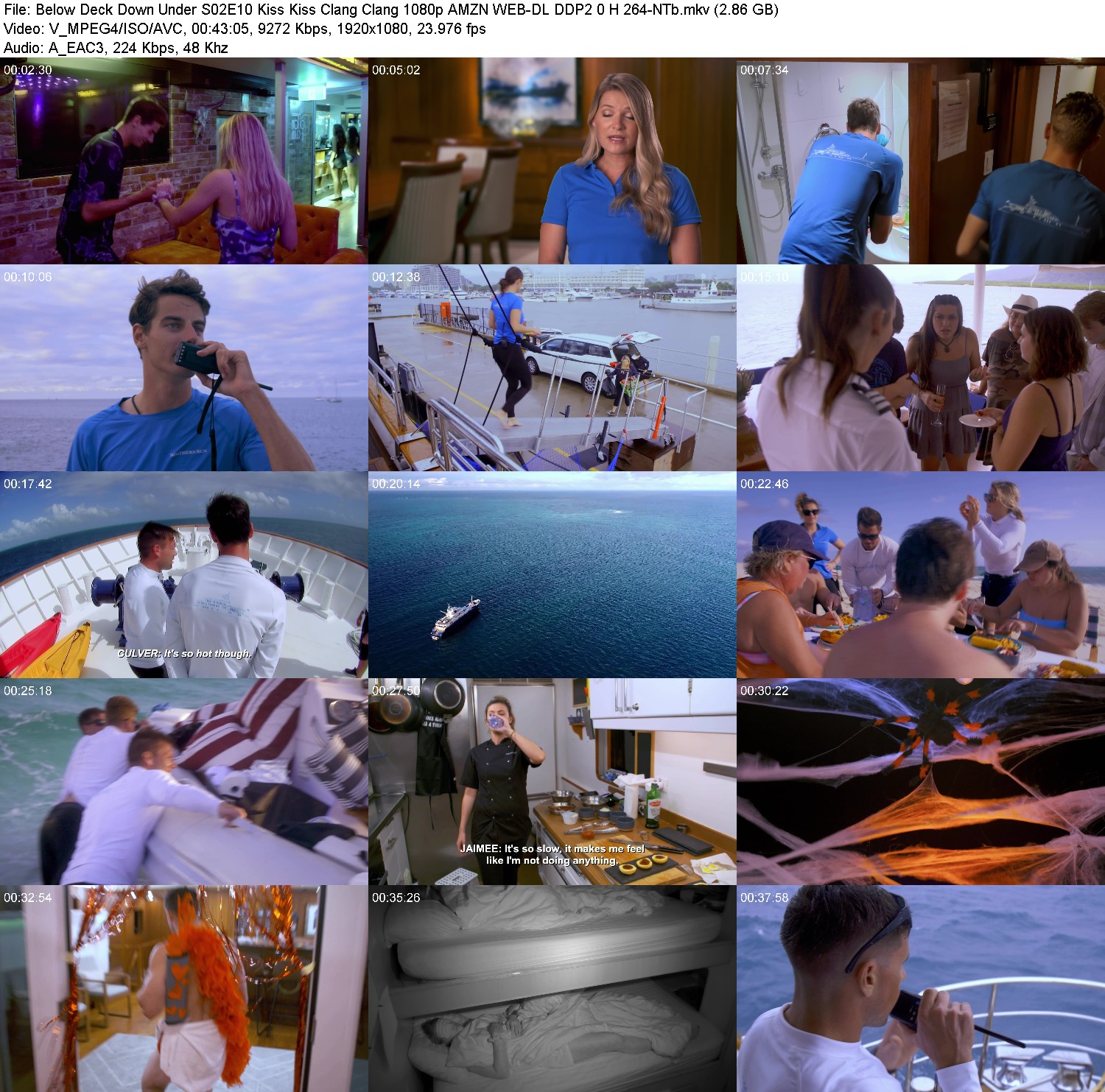 [Image: m2u8z5lk2gqw.jpg]