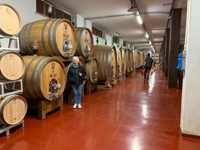 [Linked Image from i.postimg.cc]