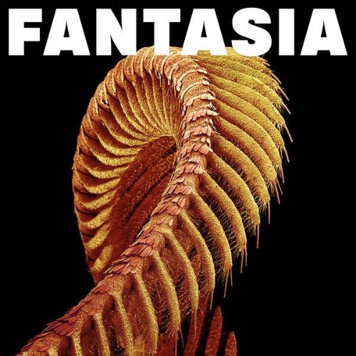 Slift - Fantasia (2026) MP3