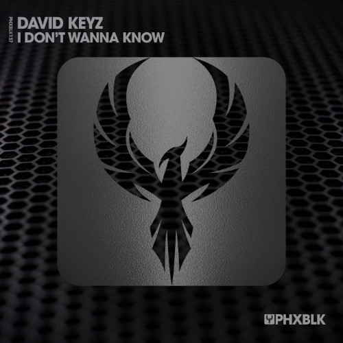 David Keyz - I Don't Wanna Know (2026) MP3