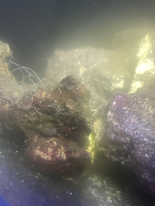 FE4CBAF4-6384-4F3E-9064-1445D06B3D98