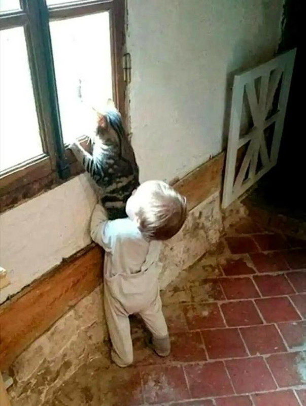 teamwork-0.jpg