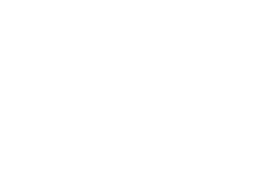 vision home