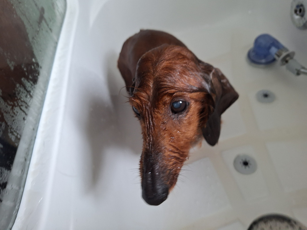 [Image: 20240506-150045.jpg]