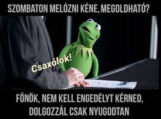 https://i.postimg.cc/wM0XTpSJ/szombaton-melozni.jpg