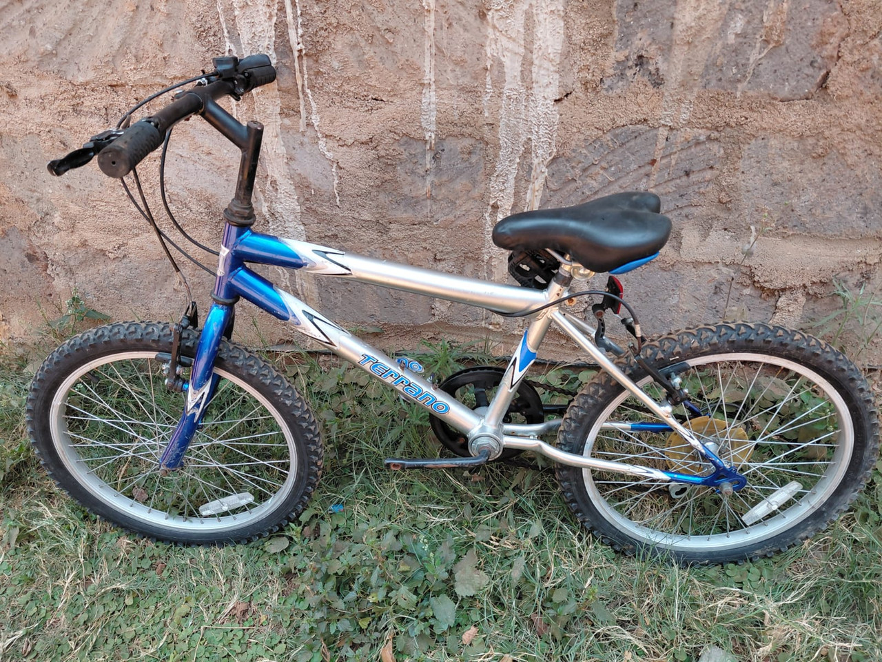 Terrano