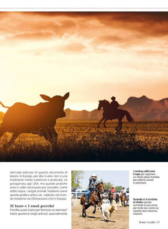 Il Mio Cav (Lug 2023) 4