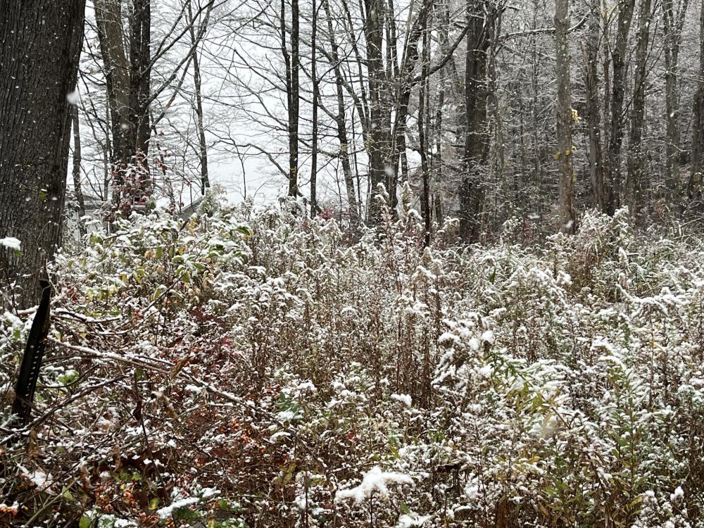 new snow