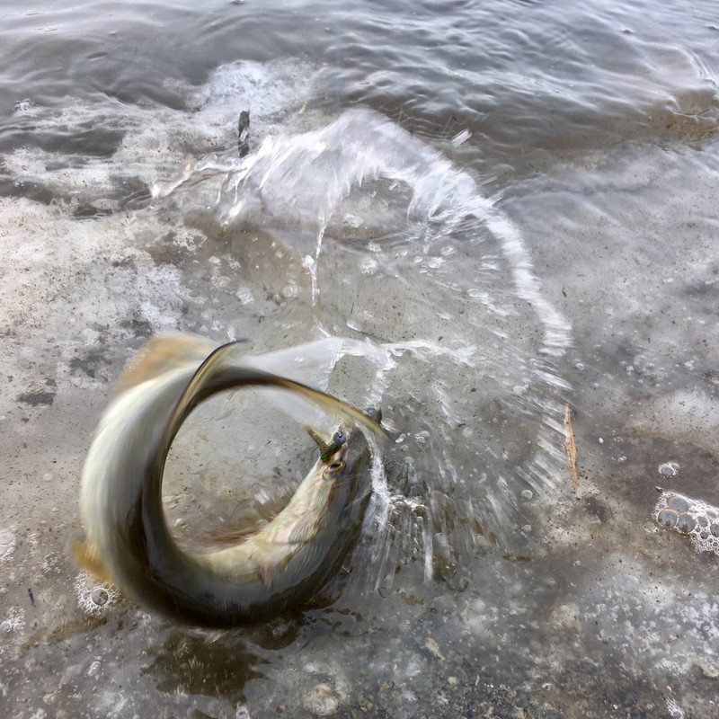 ABC7461B-5F0C-4F4E-AD50-288A93A21AC0