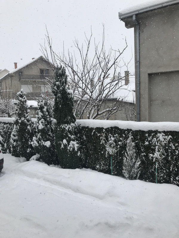 BC38513E-24D1-477E-8305-7F8801FA7D9C