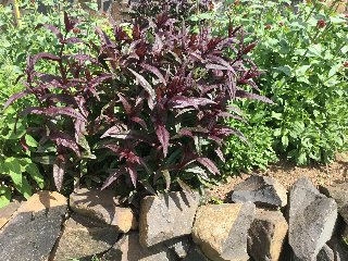 359FB90D-4A9F-4954-8891-0CB21474F846