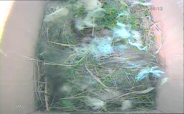 91C7FB50-DD6C-44B0-9A1C-7AEF40544D1F