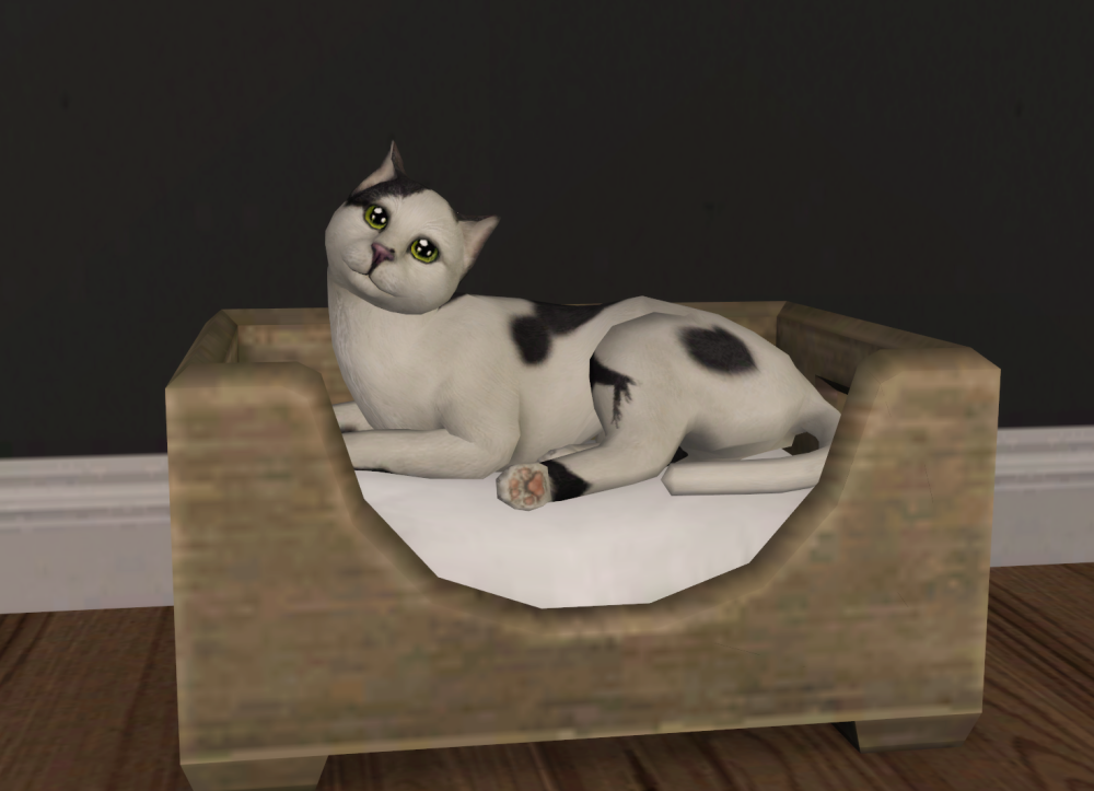 Sims2-EP9-RPC-2022-03-27-22-30-10-00