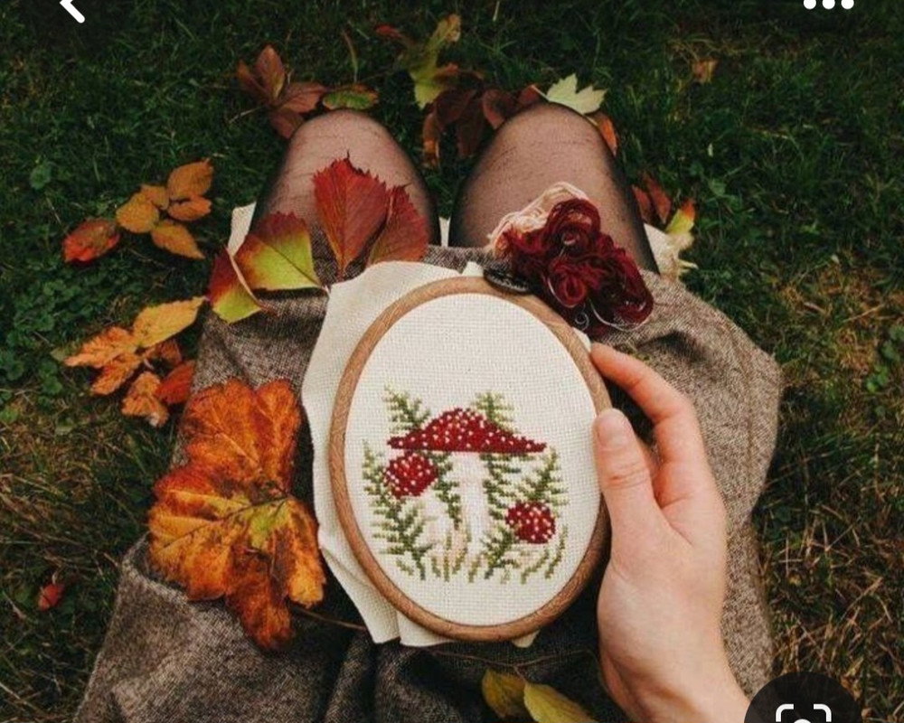 Screenshot_20231219_231940_Pinterest