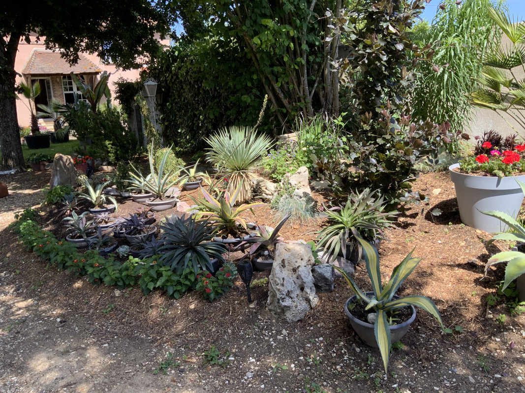 4E914EF7-2DFD-4DA0-B593-6268225DA7DA