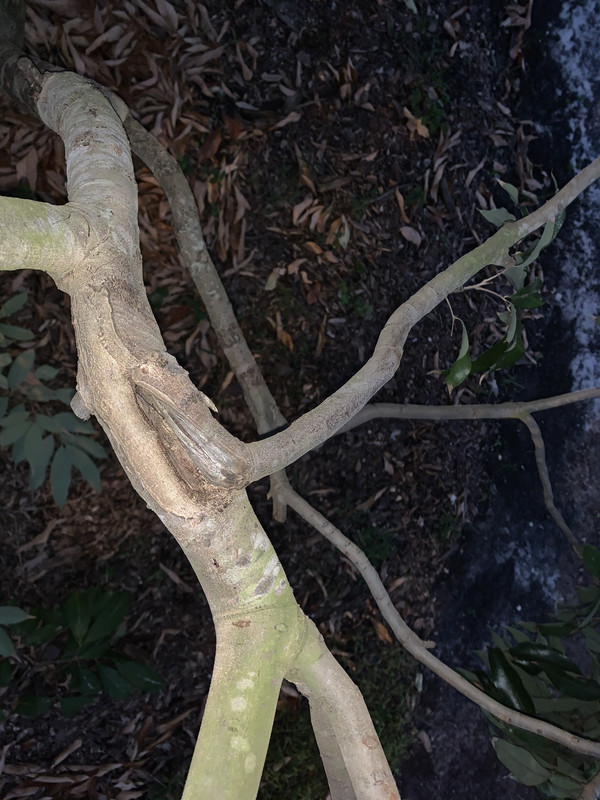 2F27CA43-06ED-4117-9226-79D36DE5E8EF