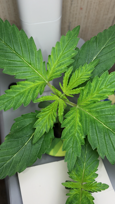 98656F4E-75AA-4F66-8F53-697385EB4714