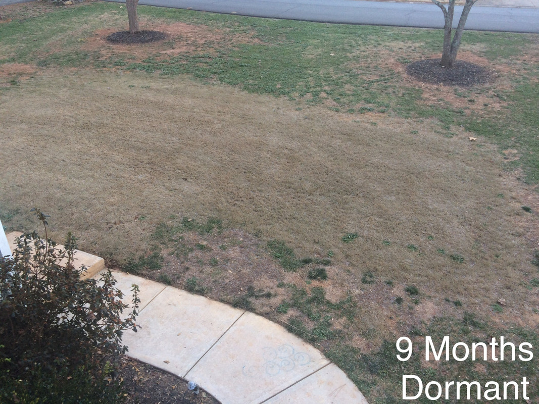 EE741D59-CB2E-4326-B7EF-DCD65CDF069B