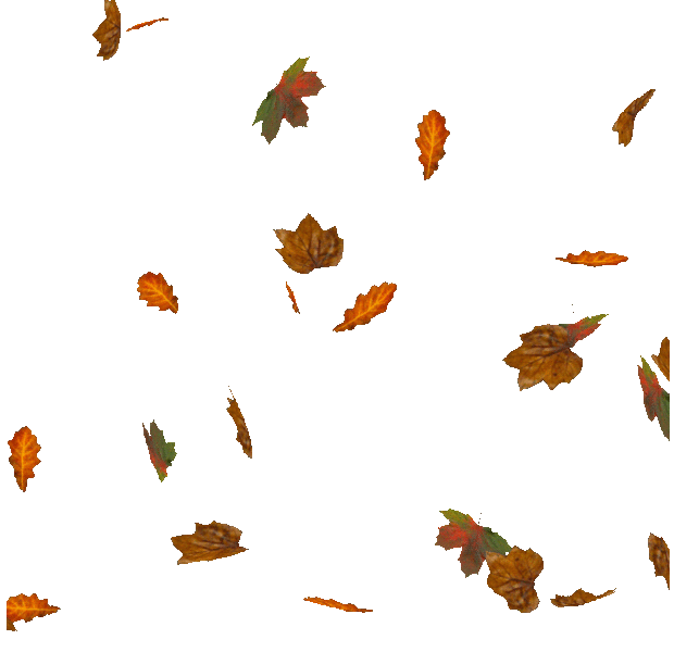 [Image: 11db52ad.gif]