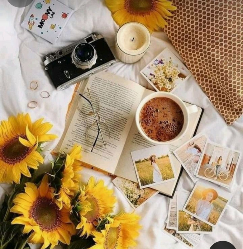 Screenshot_20240604_161251_Pinterest