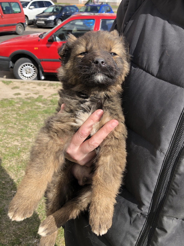 44ADBF7E-D9A2-4424-9256-D1B43F4853C8