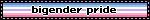 bigender