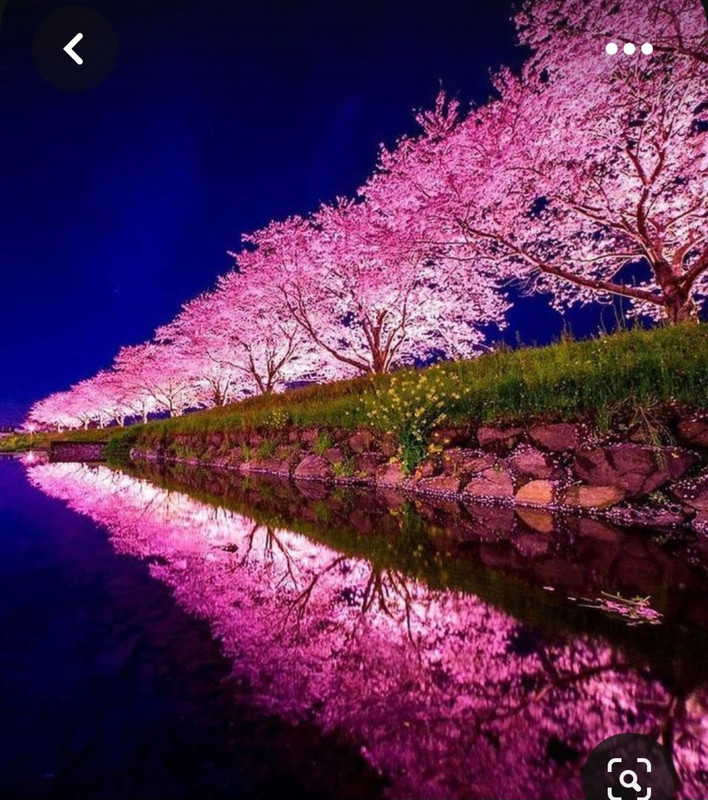 Screenshot_20230816_235845_Pinterest