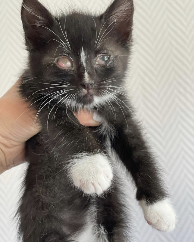 AFE1E0C9-C5B6-454E-AE6C-42939899A03C