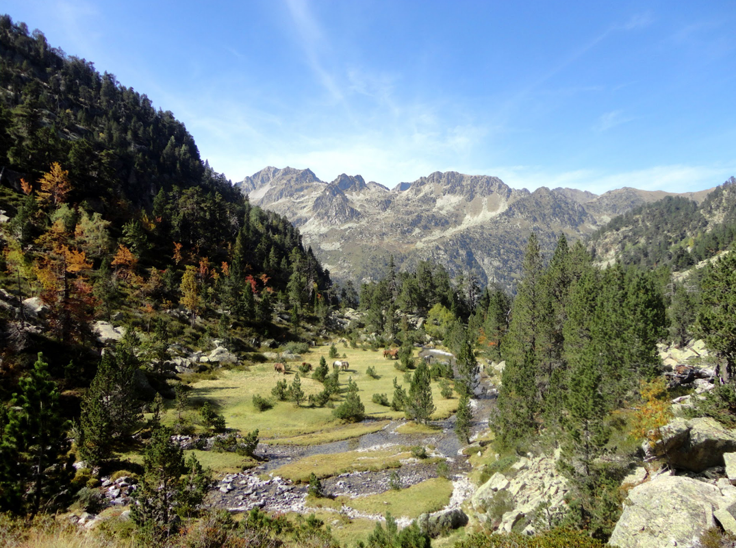 Capture d’écran_2025-06-25_11-19-28