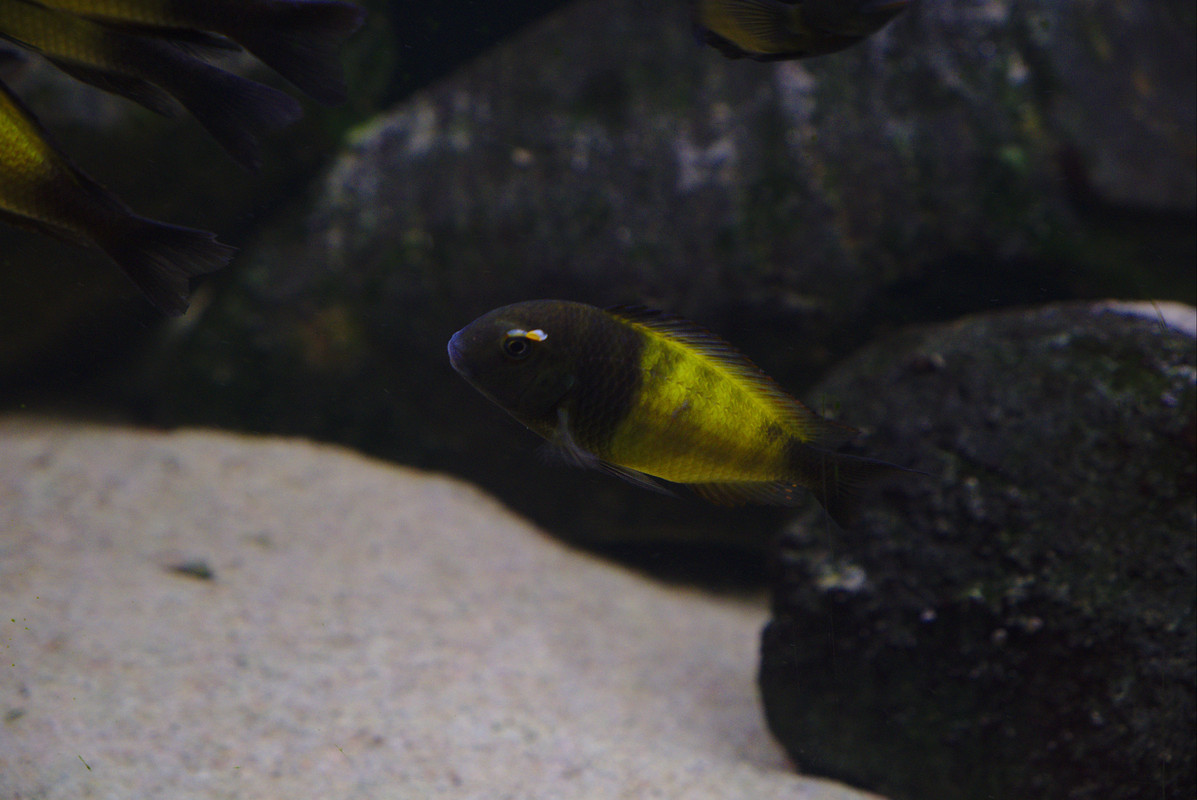 DSCF2125