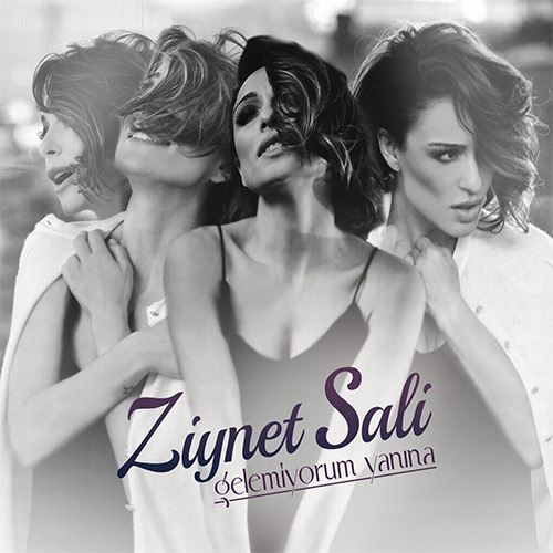 2013 Ziynet Sali - Gelemiyorum Yanına.