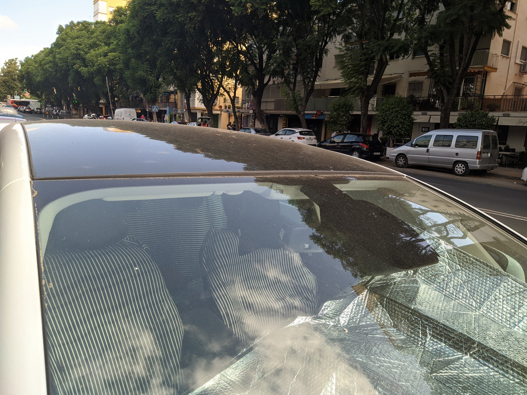 MVIMG_20200923_120012