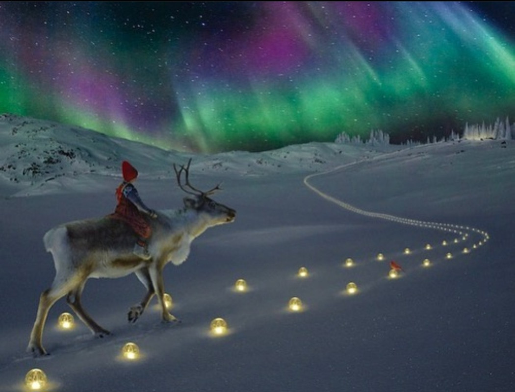 Screenshot_20231108_215404_Instagram