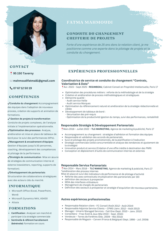 Modèle CV Canva 5