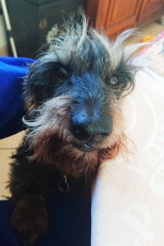 [Image: DSC-4171.jpg]