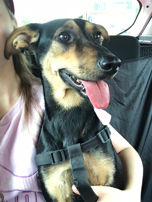 B9E78C10-5042-443C-9020-D2AB11CE4329